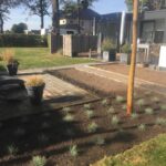 Aanleg beplanting