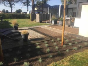 Aanleg beplanting